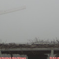 08_10-mast.jpg
