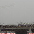 08_15-mast.jpg