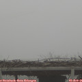 08_20-mast.jpg