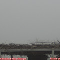 08_25-mast.jpg
