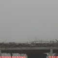 08_30-mast.jpg
