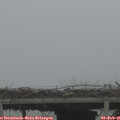 08_35-mast.jpg