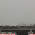 08_40-mast.jpg