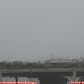 08_45-mast.jpg