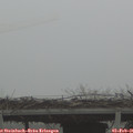 08_55-mast.jpg
