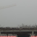09_00-mast.jpg