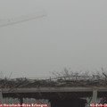 09_05-mast.jpg