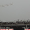 09_15-mast.jpg