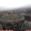 09_15-nest.jpg