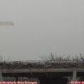 09_50-mast.jpg