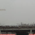 10_00-mast.jpg