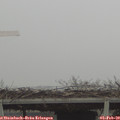 10_05-mast.jpg