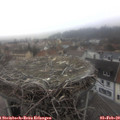 10_05-nest.jpg