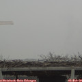 10_10-mast.jpg