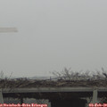 10_40-mast.jpg