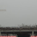 10_45-mast.jpg