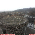 10_50-nest.jpg