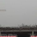 10_55-mast.jpg