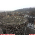 11_00-nest.jpg