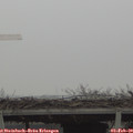 11_05-mast.jpg