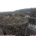 11_05-nest.jpg