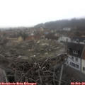 11_10-nest.jpg
