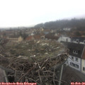 11_20-nest.jpg