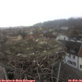 11_30-nest.jpg