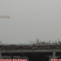11_35-mast.jpg
