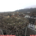 11_40-nest.jpg