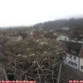 11_45-nest.jpg