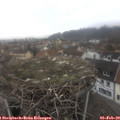 11_50-nest.jpg