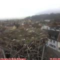 11_55-nest.jpg