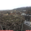 12_00-nest.jpg