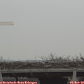 12_05-mast.jpg