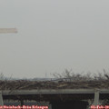 12_10-mast.jpg