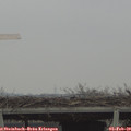 12_30-mast.jpg