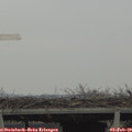 12_35-mast.jpg