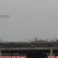 12_40-mast.jpg