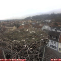 12_55-nest.jpg