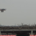 13_10-mast.jpg