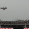 13_25-mast.jpg