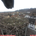 13_30-nest.jpg
