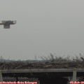 13_35-mast.jpg