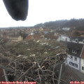 13_35-nest.jpg