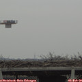 13_45-mast.jpg