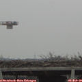 13_55-mast.jpg