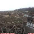 13_55-nest.jpg