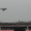 14_05-mast.jpg