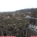 14_05-nest.jpg
